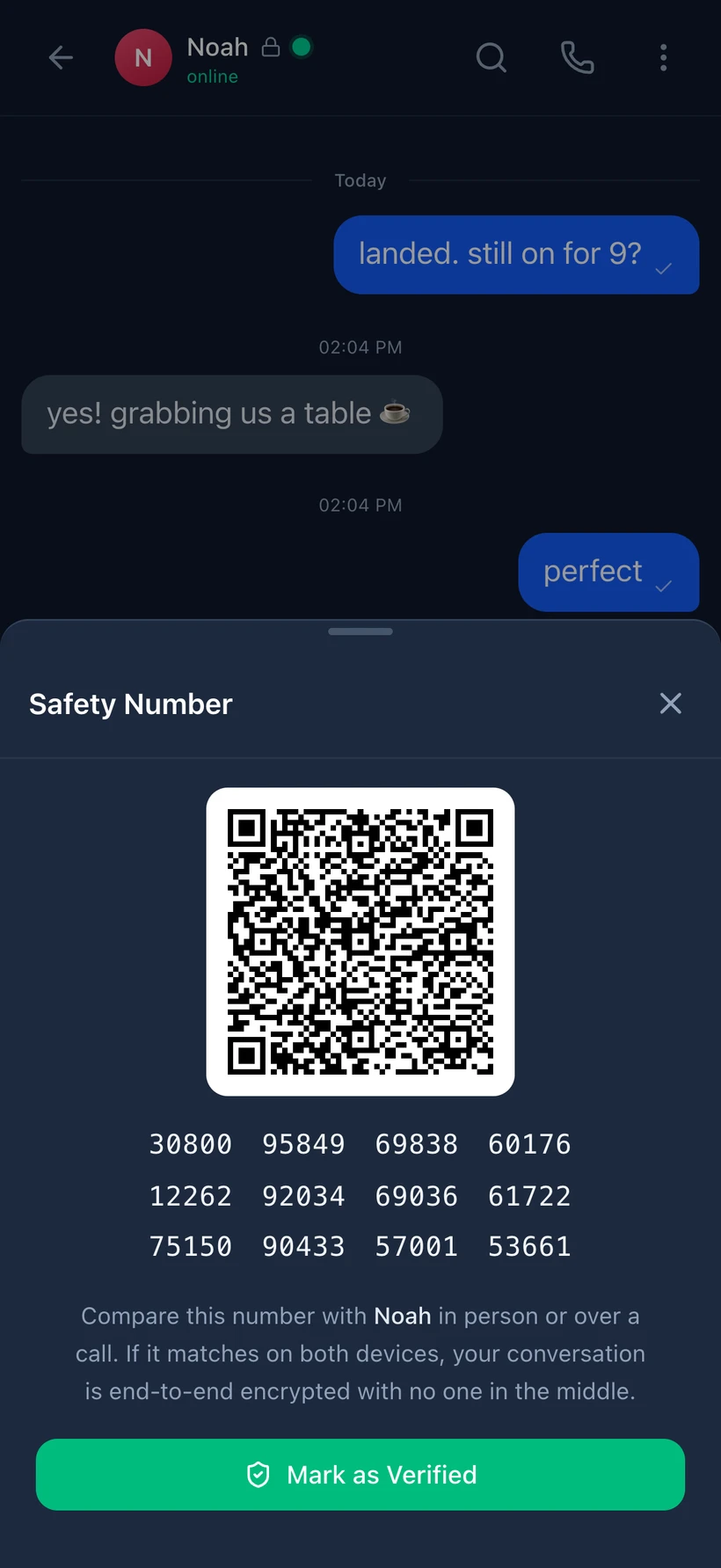 Veil safety-number screen in a demonstration chat, showing a QR code and a compare-through-a-trusted-channel instruction.